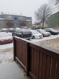 snow covered cars in a parking lot